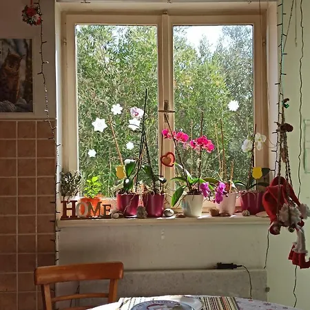 Maslinov Hlad Apartament