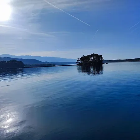 Apartment Maslinov Hlad *