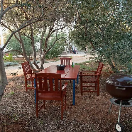 Maslinov Hlad Barbat na Rabu